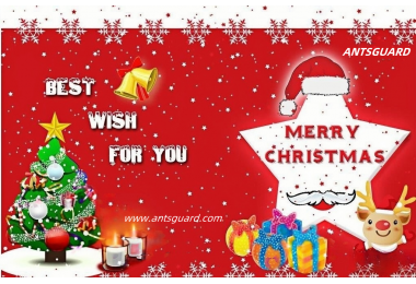 Merry Christmas and a Happy New Year!