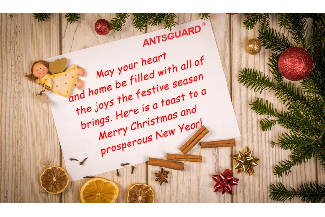 Antsguard team wish you a MERRY CHRISTMAS AND HAPPY NEW YEAR !!